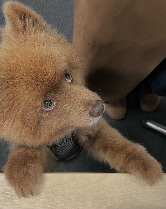 Молочный шоколад🍫❤