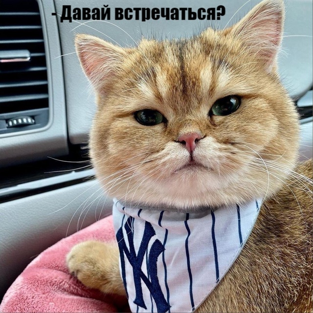 Предупредила)