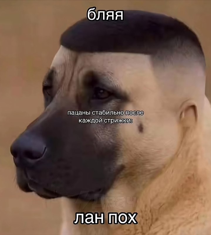 Парни, мы?