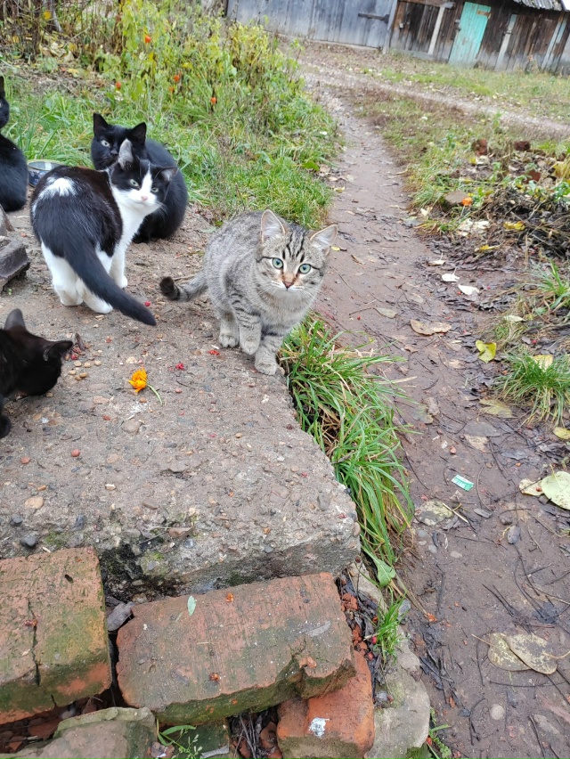 ‼️Добрый день всем участникам группы. 😉
Кто может пр...