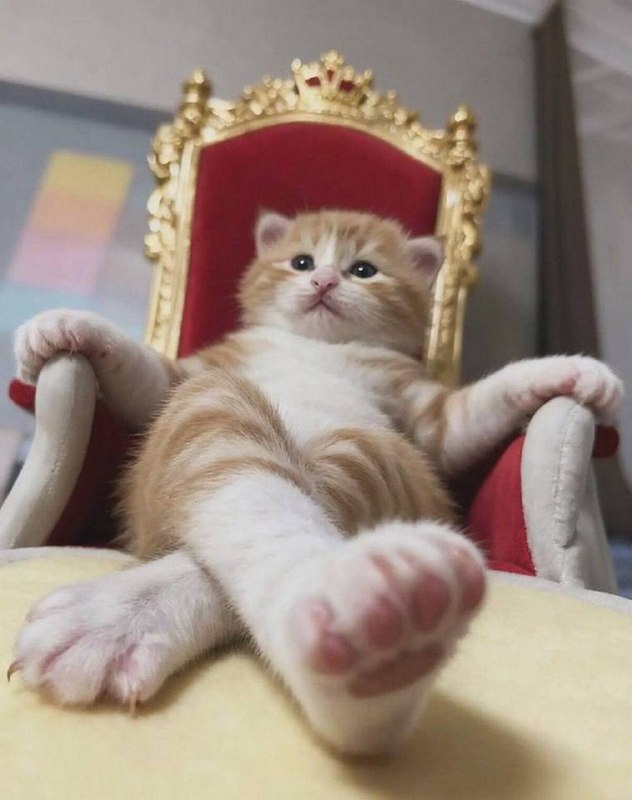 Ойой, совсем забыл про мембботу 😑😑
Делимся любимым мемчиком за неделю