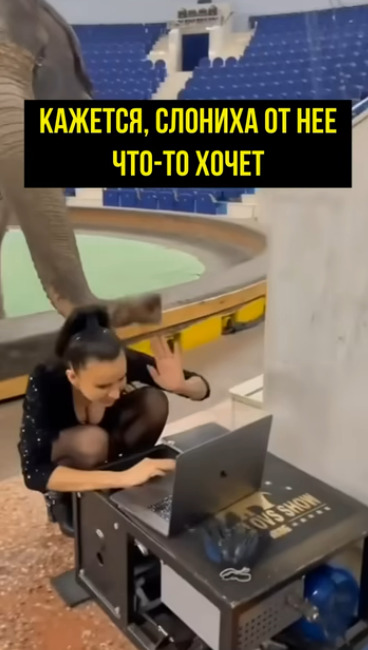 Интересно, во сколько лет он узнал об этом?