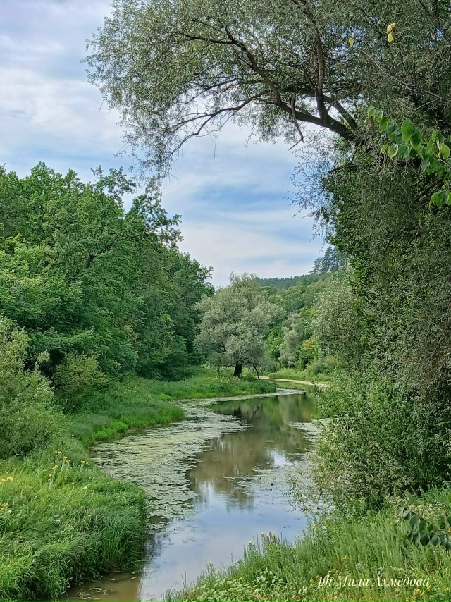 Оз. Шертово. Мастрюки. Самарская обл. 🏞