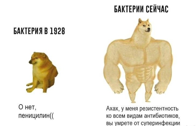 ?Антибиотики перестали работать – скоро они станут б...