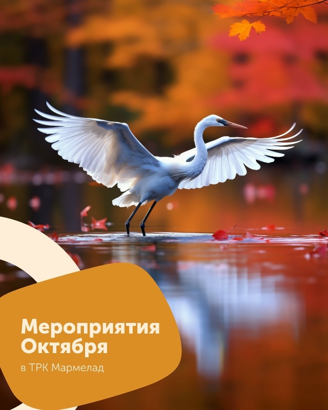 Уже готова сетка октября!
В ТРК «Мармелад» насыщенная ...