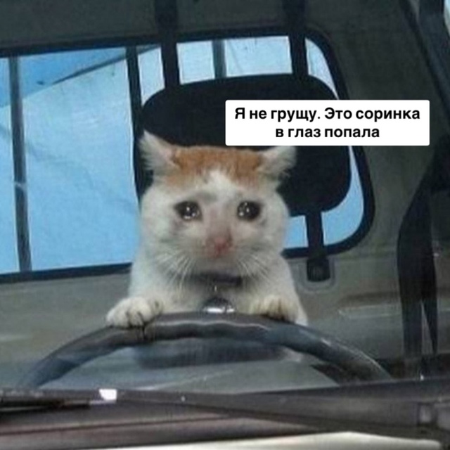 Βoдитeлeй c дeпpeccиeй будут лишaть пpaв — этo paccтpoйcтвo пpизнa...