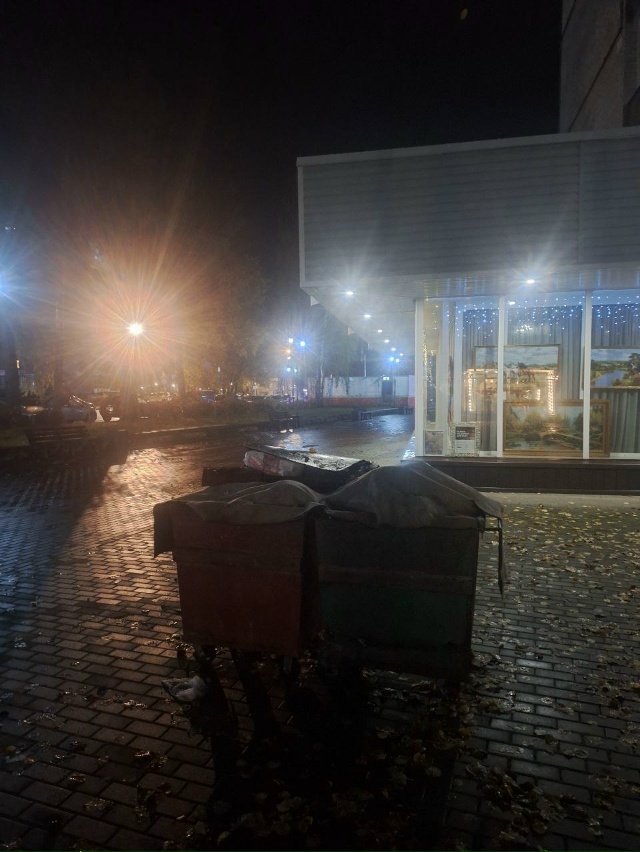 Как стояли грязные дырявые мусорные баки у домов, прям?...