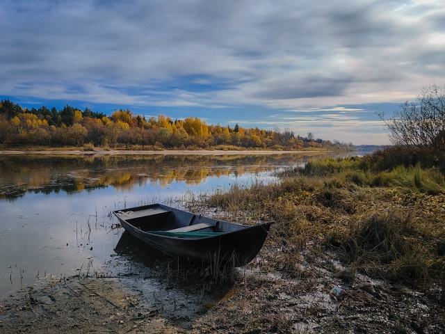 Доброе, осеннее ???
Huawei P60 Pro (lightroom)
#мобильнаяпленка...