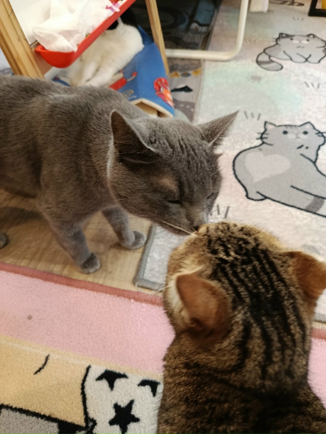 Не буду говорить, где, чтобы не было рекламы, я сегодня ?...