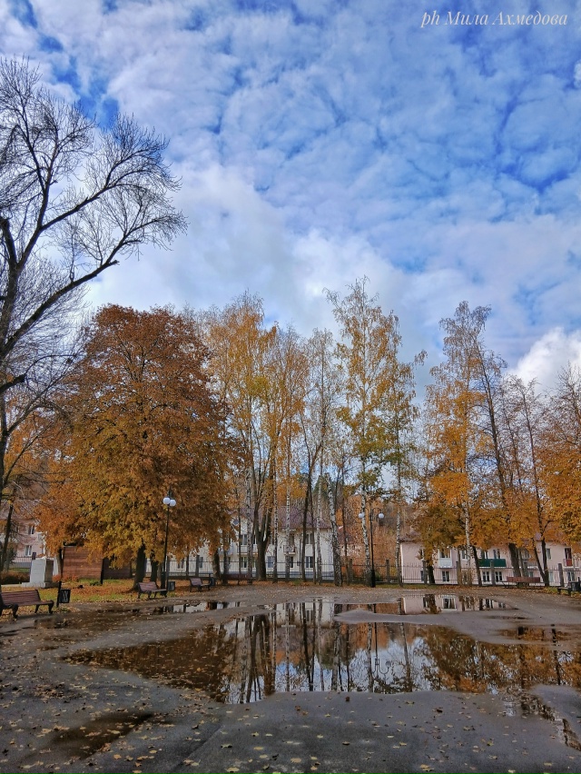 Больничный осенний октябрьский парк.
Отражение дер...