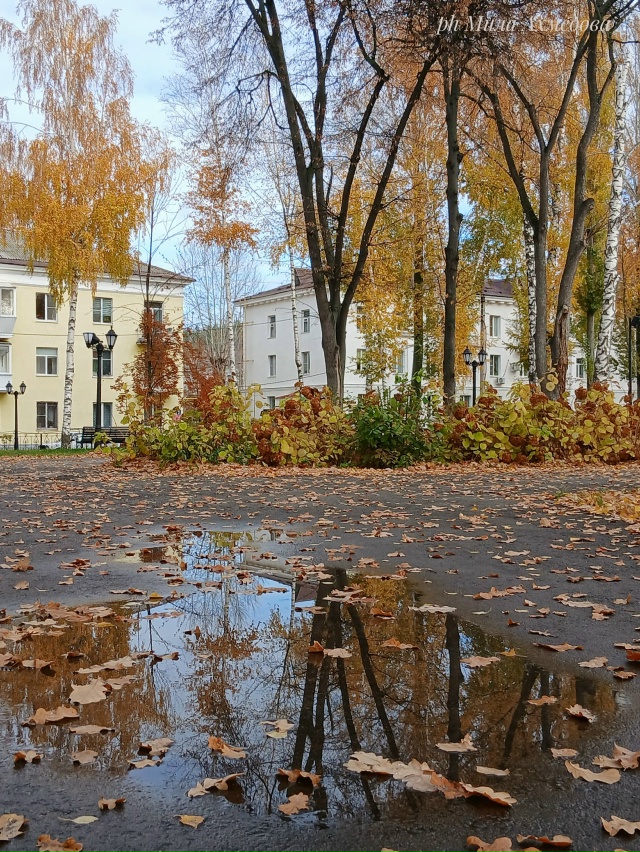 Сквер за Дворцом культуры ,, Жигулёвский,,