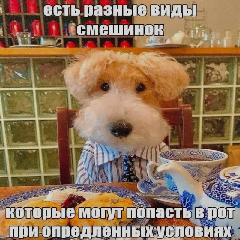 Ночная подборочка
Выходные, не спим