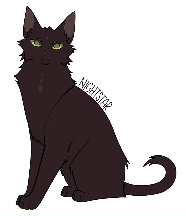 Ночная Звезда
© skyperch
#KV_ZZ_ART