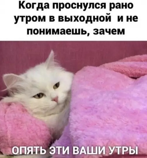 Когда уже вторник, но все еще выходной