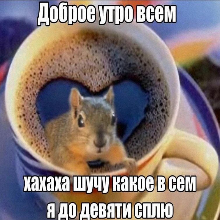 Утренняя подборочка