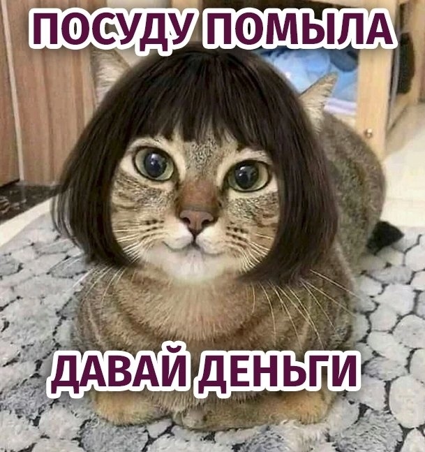 👉 Зарплата за борщ и уборку: в России предлагают обяза...