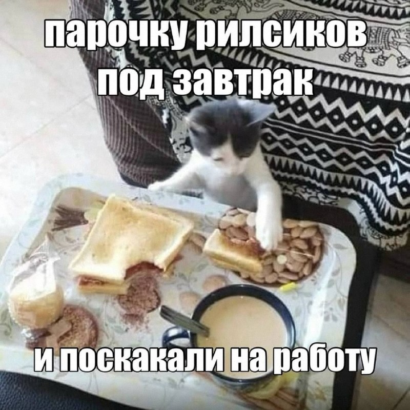 Утренняя подборочка