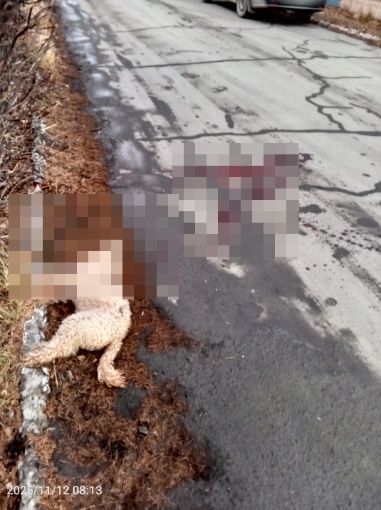 😡 Сегодня 12.11 около 8 часов по адресу Кутузова 4 возле а...