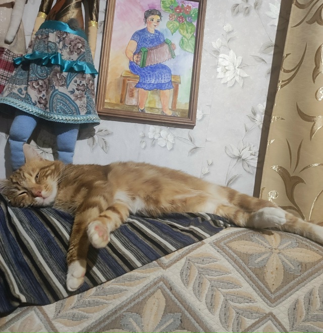 Полосатая жизнь - это не про меня.