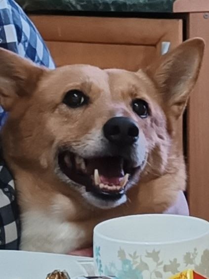 Помогаю информационно!
Нижегородская область. ?????...