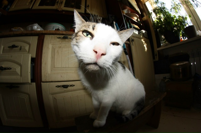 Батон … просто утро)