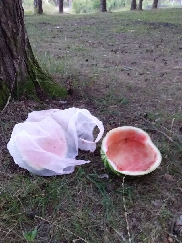 Анонимно. Поели и бросили. Кто это должен убирать?