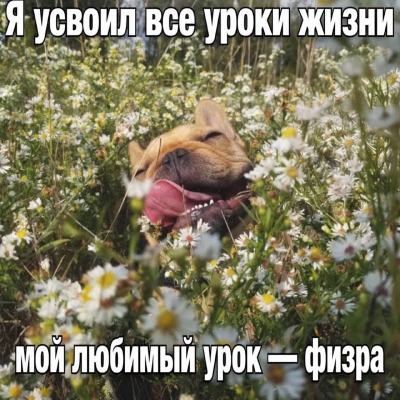 Утренняя подборочка