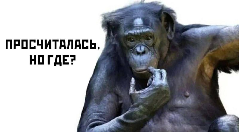 Москвичка уволилась по совету гадалки и пошла по наклонной
Дама поверила прорицательнице, что после