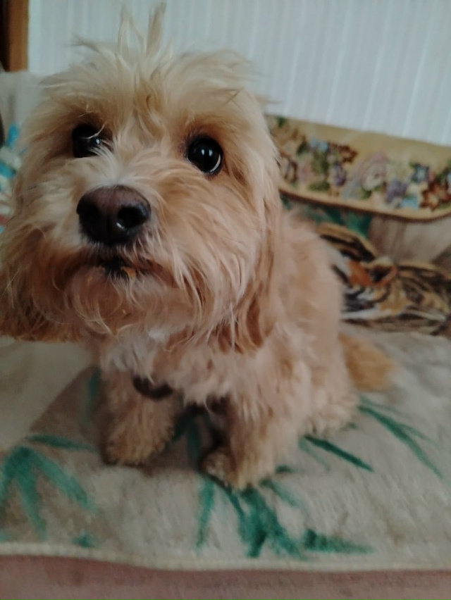 Добрый день.
В районе Павлово был найден этот симпатич?...