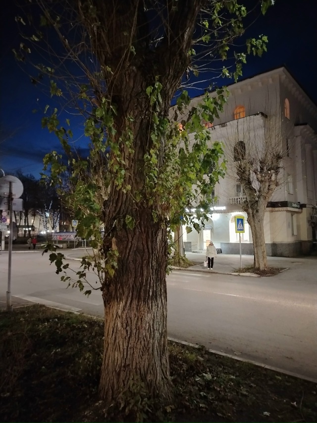 Доброй ночи, Жигулёвск!