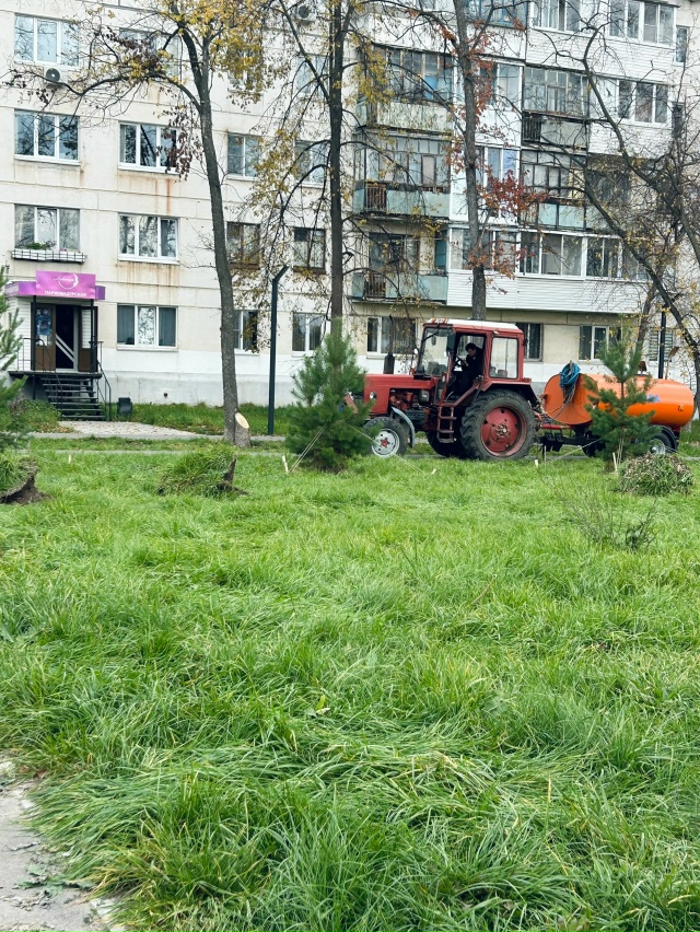Молодцы красоту делают по городу.