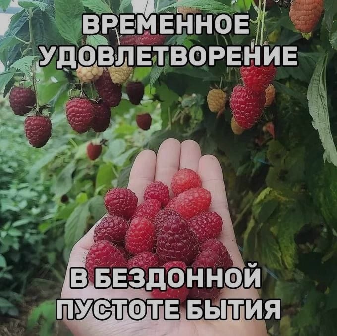 Ночная подборочка
Спать, режим