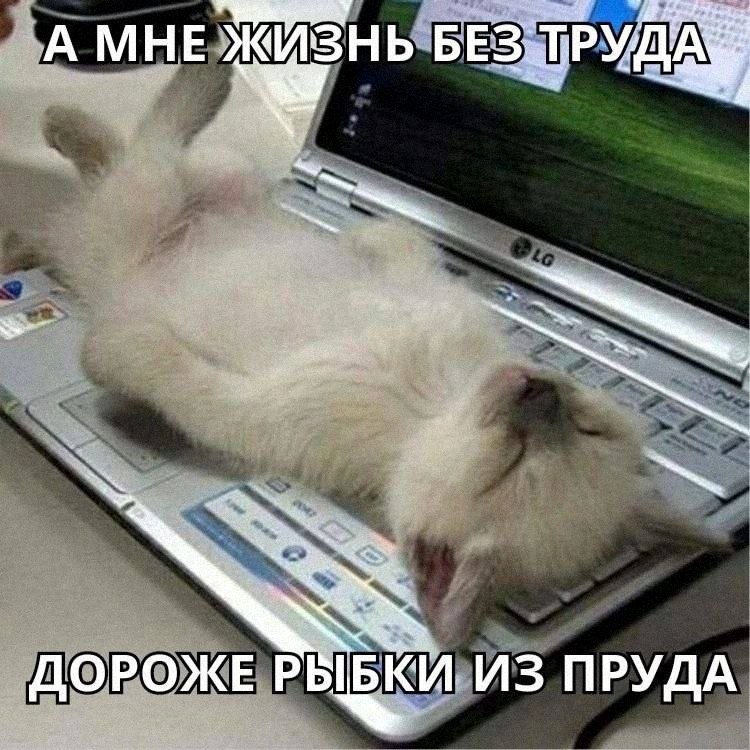 Утренняя подборочка