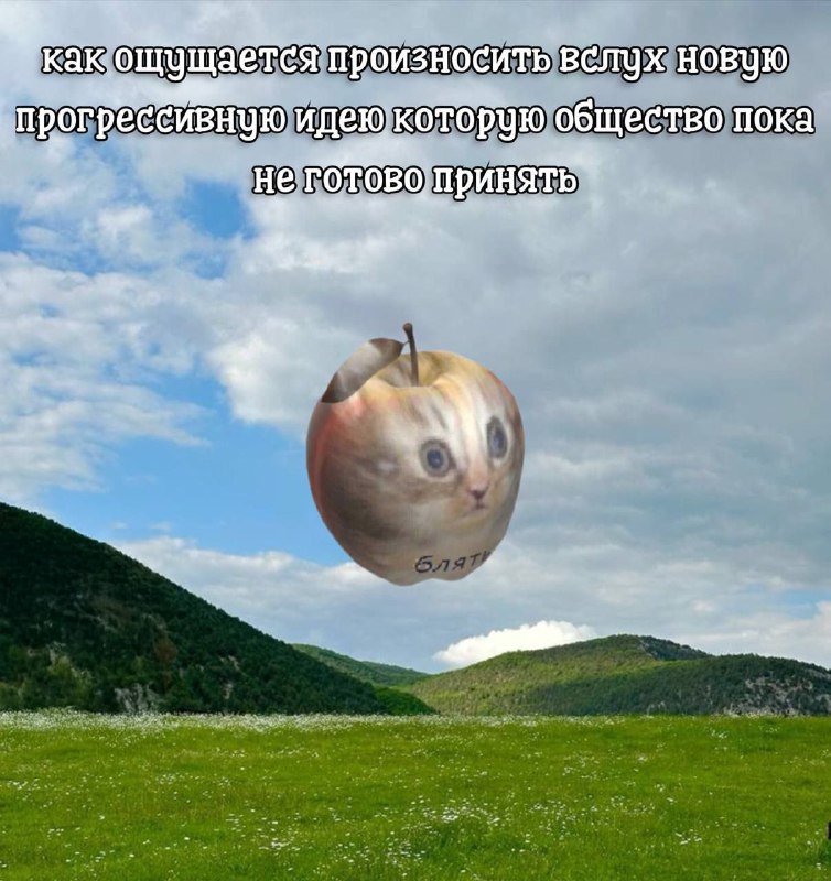 Утренняя подборочка