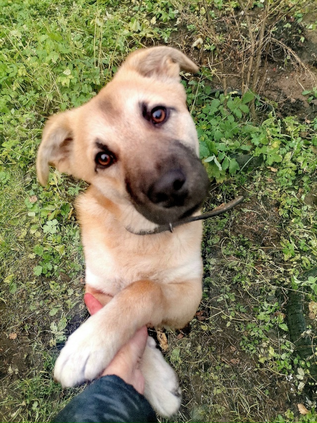 Тверь и область. ...