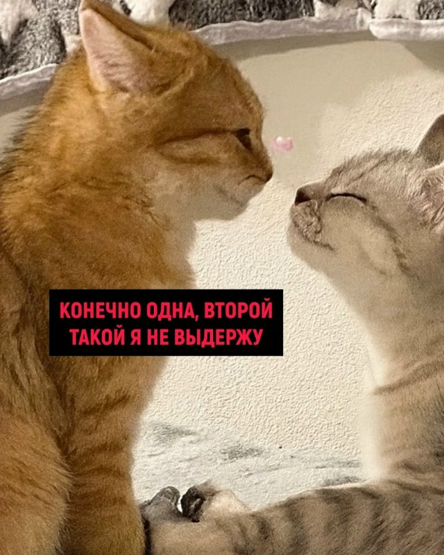 Любовь такая любовь😅