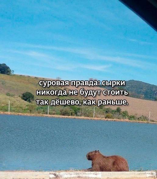 Утренняя подборочка