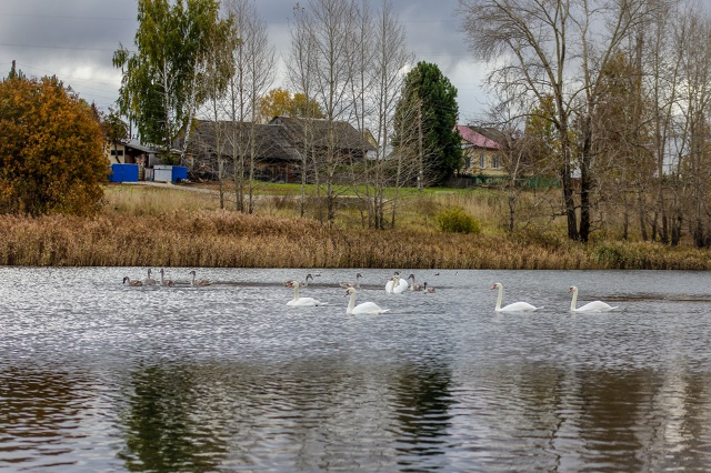 Осенняя красота пруда (с.Орда) ???