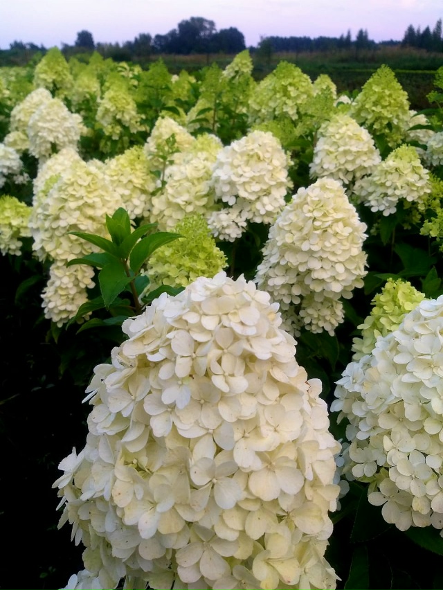 ‼️Отличная новость для садоводов г.Бузулук!
?? 1 Окт...