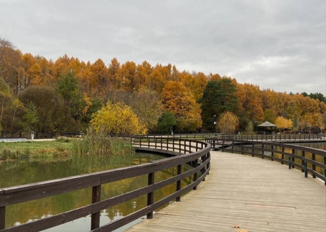 Где гулять этой осенью?
Собрали живописные места, где...