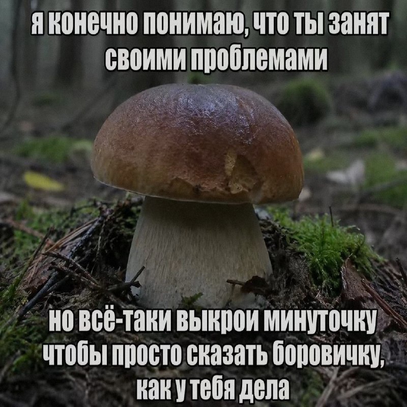 Ночная подборочка
Спать, режим