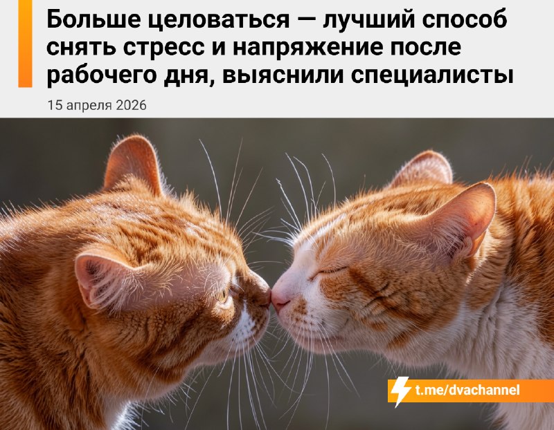 Психологи выяснили, что лучший способ снять напряг после тяжёлого рабочего дня — это чаще целоваться
