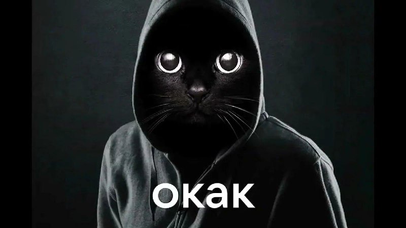 Самые популярные мемы 2025 года
1. «Окак» — 7,97 млн упоминаний;
2. «Смерть в нищете»/ «Покой в рос