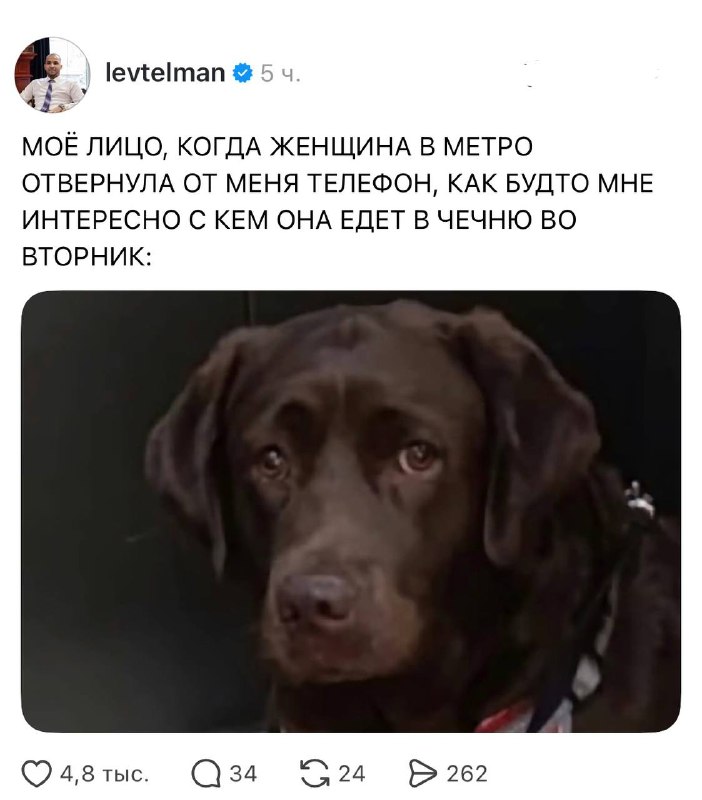 Теперь нам всем абсолютно не интересно, с кем она едет в Чечню 😒