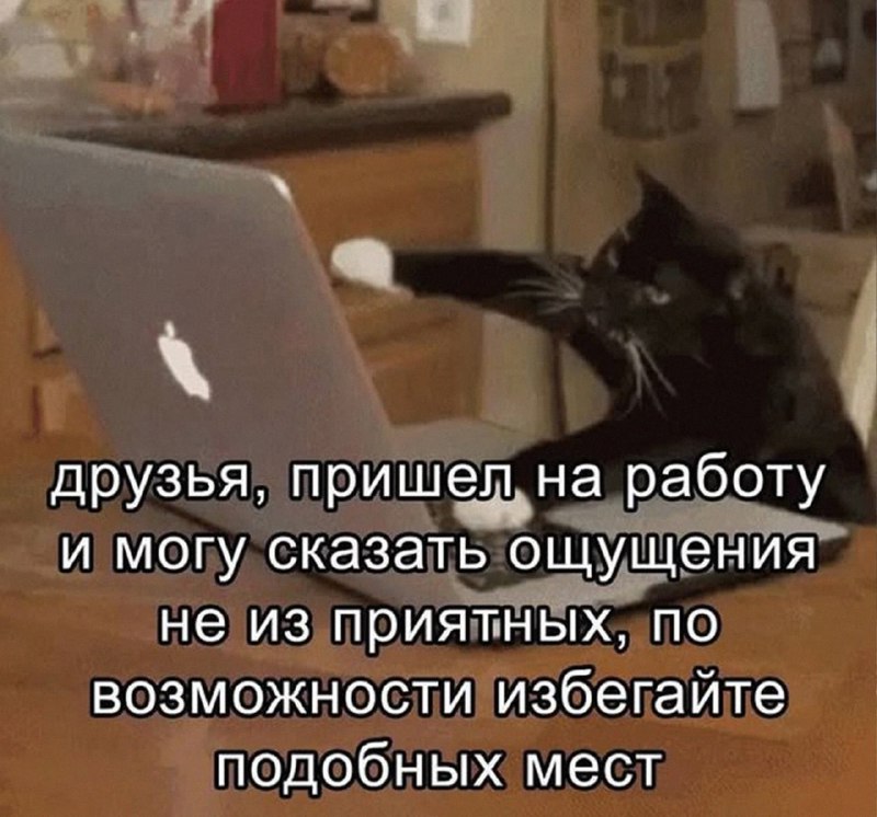 Утренняя подборочка