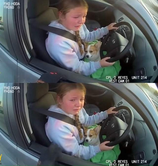 ? 12-лeтняя девочкa cелa зa pуль машины, чтοбы спасти свοeг...