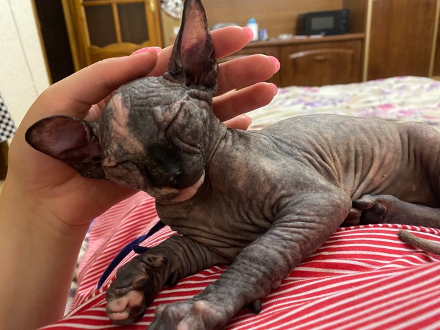 Джульке годик! ?
p.s. Последнее фото сделано в первый д?...