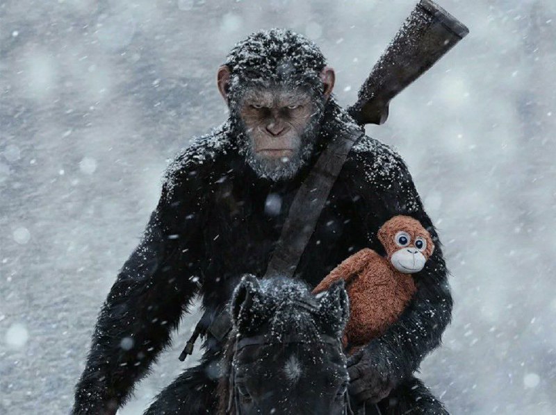 Панч в 2026 и Панч в 2036 😯