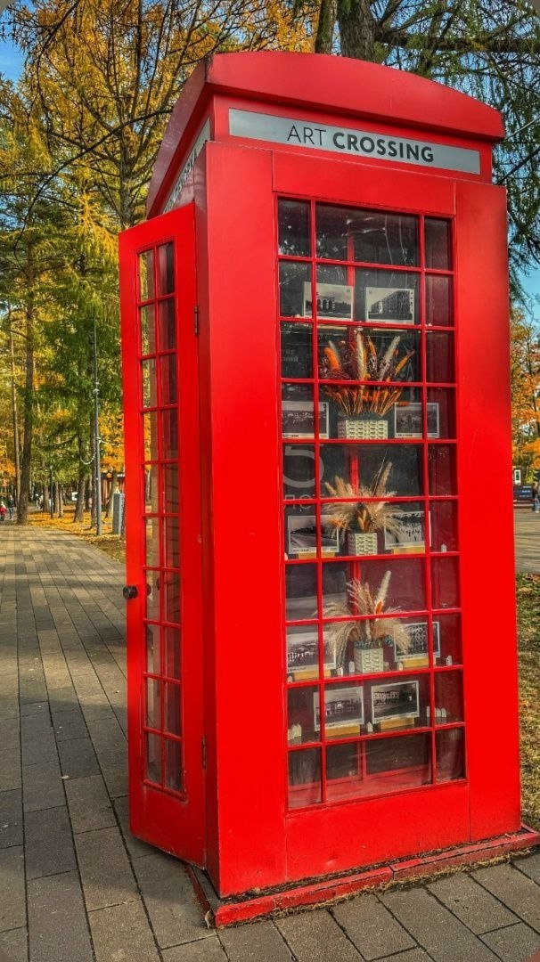 ОСЕНЬ В ПАРКЕ ПЕХОРКА 😊