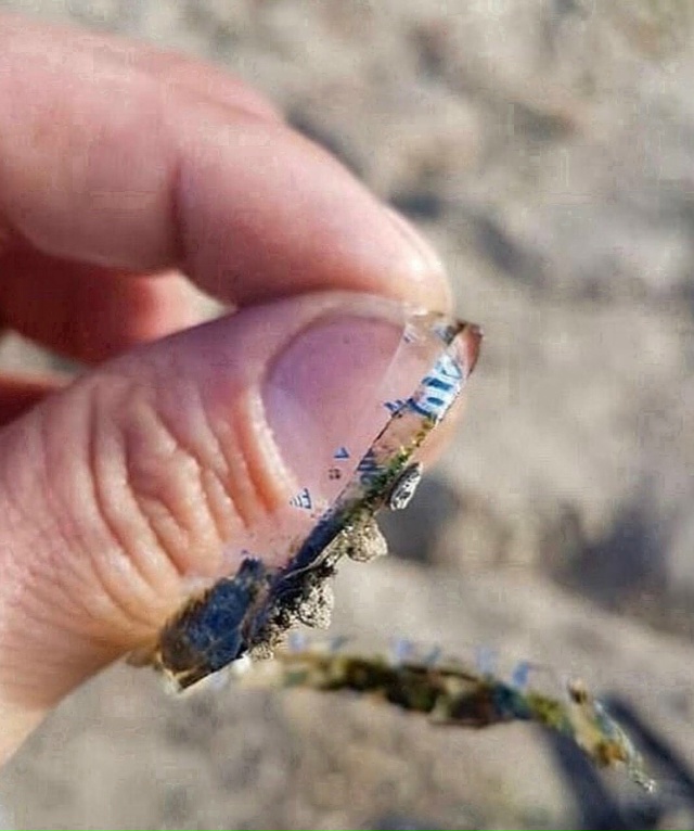 Мужчина на фото — рыбак. И вот такую щуку он поймал.
Во?...